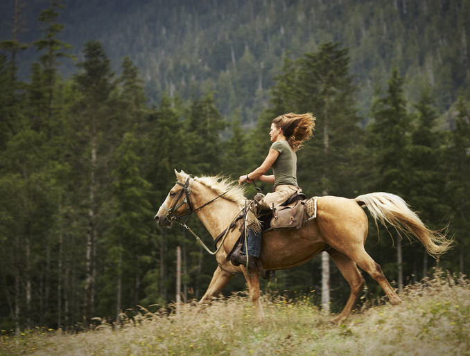 gatlinburg horseback riding