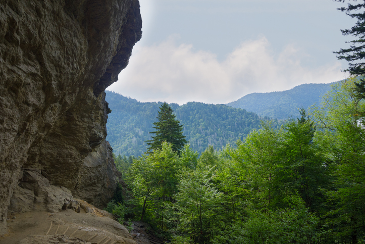 Gatlinburg Hiking