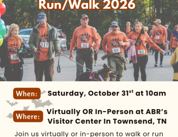 Appalachian Bear Rescue 11th Annual Bearly 5K Run/Walk