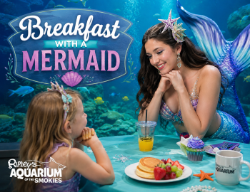 Breakfast with a Mermaid at Ripley’s Aquarium of the Smokies Breakfast with a Mermaid at Ripley’s Aquarium of the Smokies