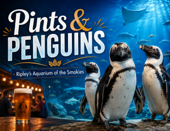 Pints and Penguins at Ripley’s Aquarium of the Smokies Pints and Penguins at Ripley’s Aquarium of the Smokies