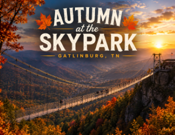 Autumn at the SkyPark