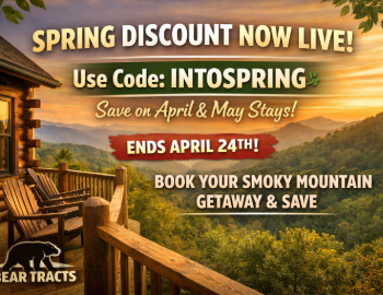 Spring Discount