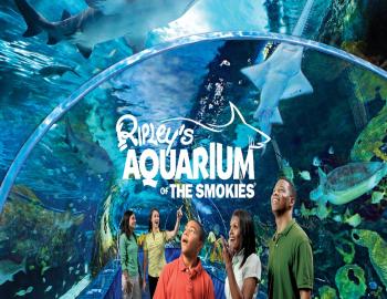 Ripley's Aquarium of the Smokies