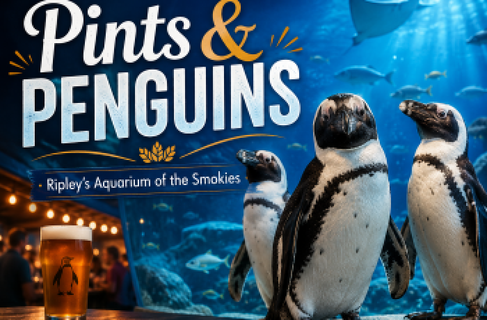 Pints and Penguins at Ripley’s Aquarium of the Smokies