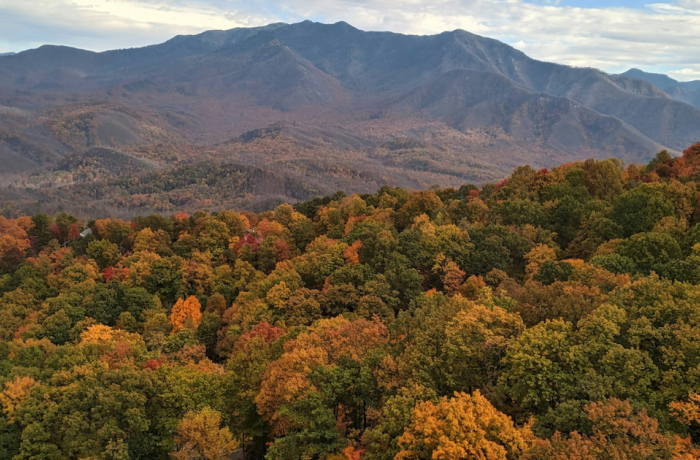 Gatlinburg Fall Foliage