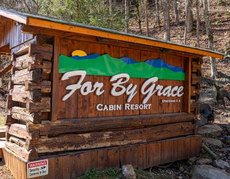 For By Grace Cabins