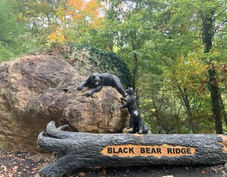 Black Bear Ridge Resort
