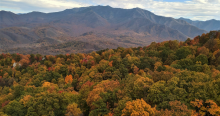 Gatlinburg Fall Foliage
