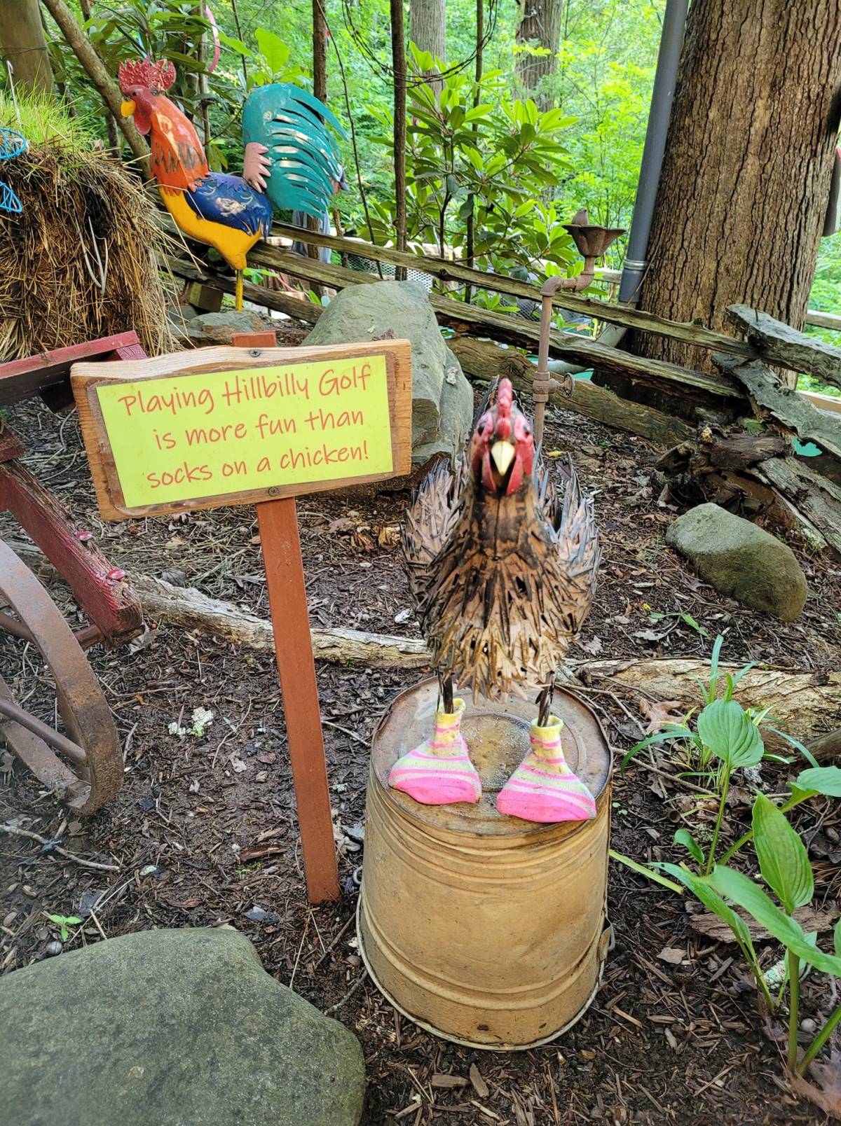 Hillbilly Golf Bear Tracts