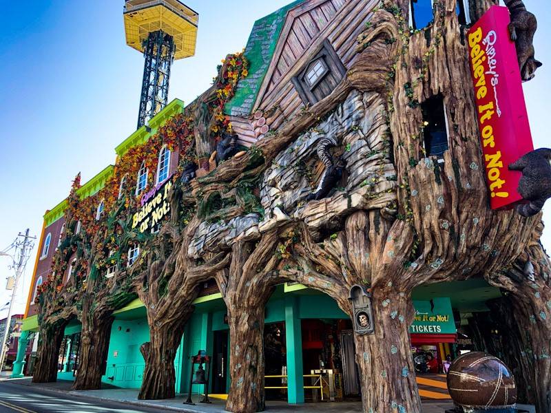 Ripley's Believe It or Not Odditorium Bear Tracts