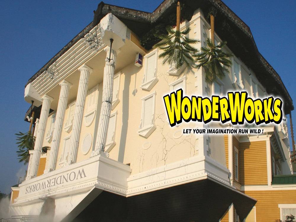 WONDERWORKS PIGEON Bear Tracts