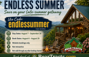 Endless Summer