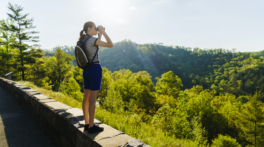 smoky mountains summer hiking