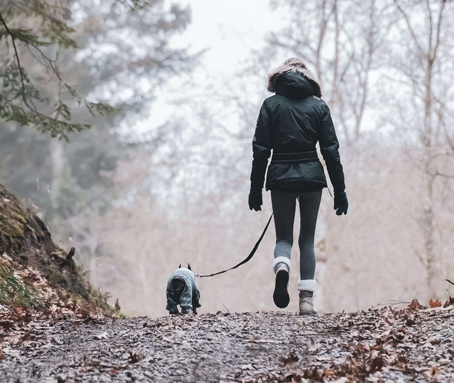 A woman walks a dog on a forest road on a chilly winter day